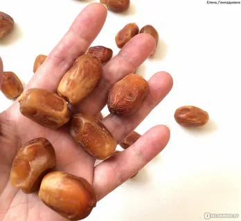 تصویر 2 از خرما زاهدی شیراز با اصالت فارس و طعم شیرین سنتی